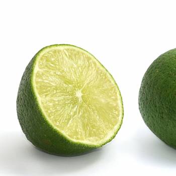 Lime - Citrus aurantifolia