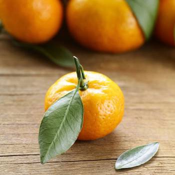 Mandarin - Citrus reticulata