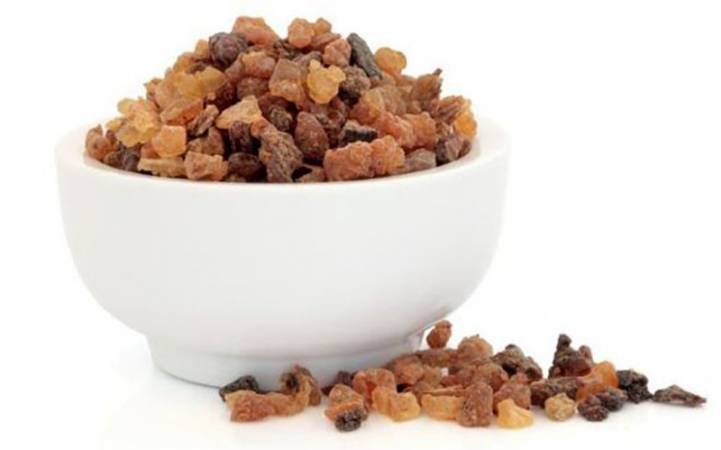 Myrrh - Commiphora myrrha