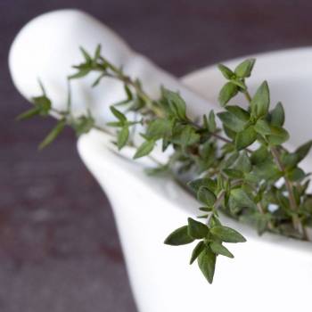 Thyme - Thymus vulgaris ct thymol