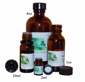 Sandalwood Australia - Santalum spicatum