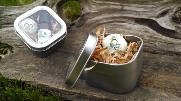 Pine Needle - Pinus silvestris