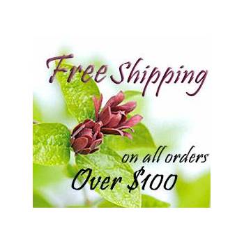 Free shipping available