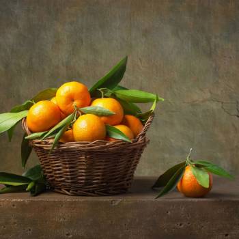 Tangerine - Citrus reticulata
