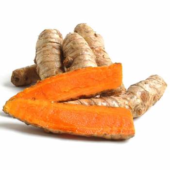 Turmeric - Curcuma longa