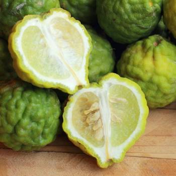 Bergamot bergaptene free (Citrus bergamia)