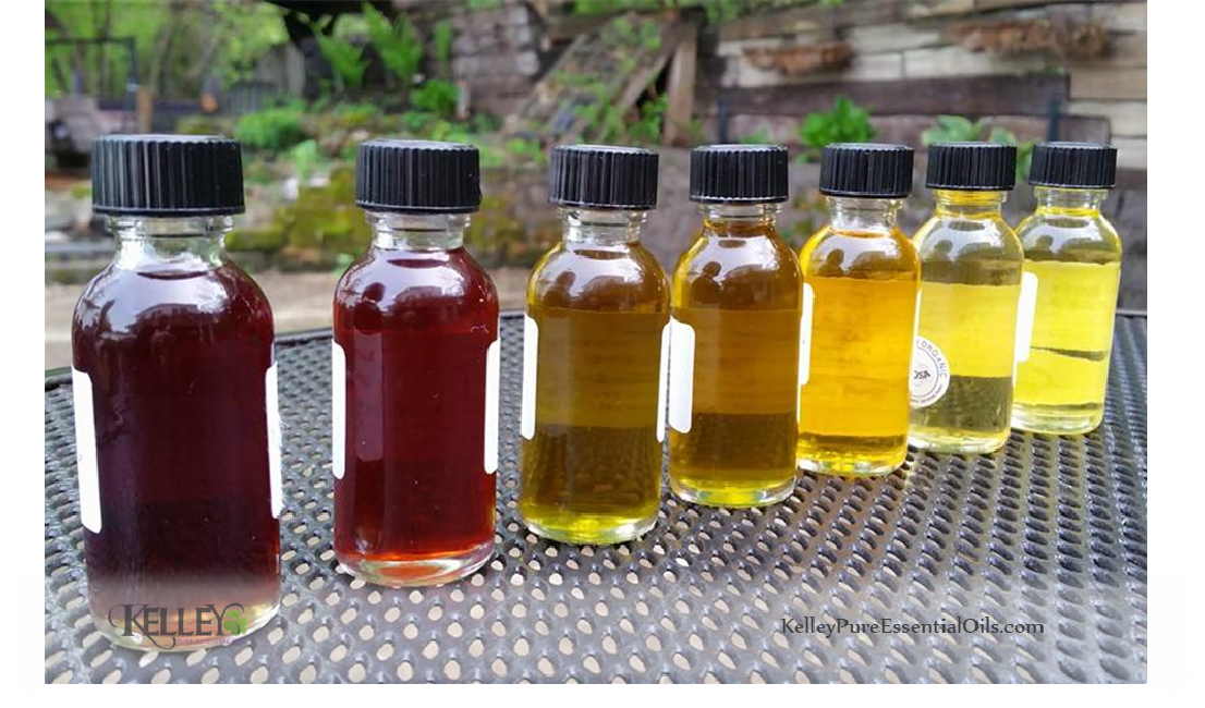 Carrier Oil Properties by Kelley Pure Essential Oils