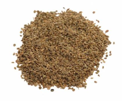 Celery Seed - Apium graveolens
